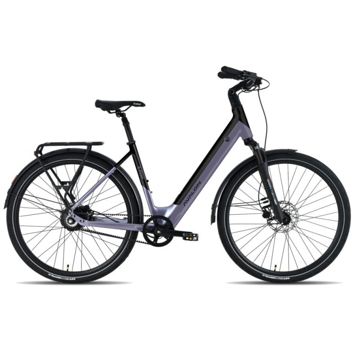 Avalon E-Flow Lila Violet Mat Dames 2025